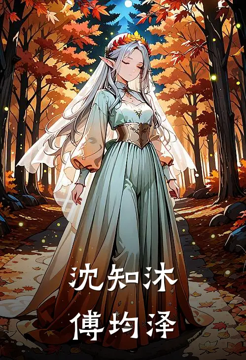 沈知沐傅均泽