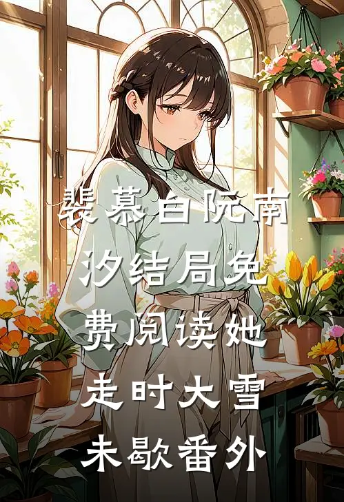 裴慕白阮南汐结局免费阅读她走时大雪未歇番外