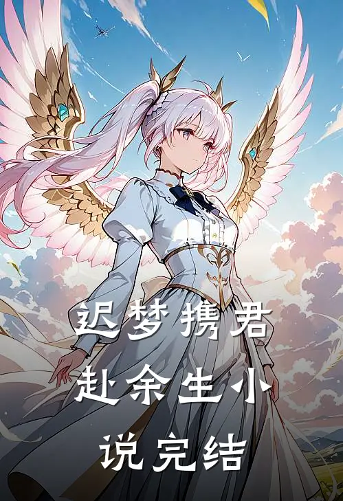 迟梦携君赴余生小说完结