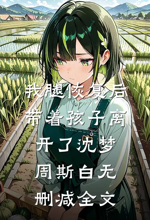 我腿恢复后，带着孩子离开了沈梦周斯白无删减全文