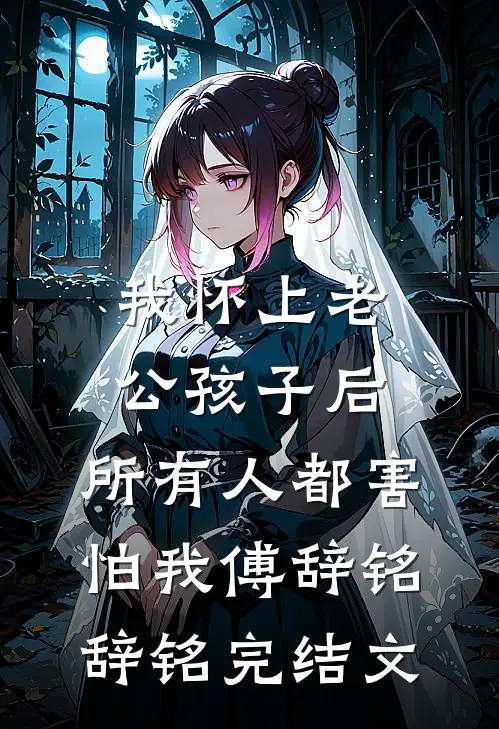 我怀上老公孩子后，所有人都害怕我傅辞铭辞铭完结文