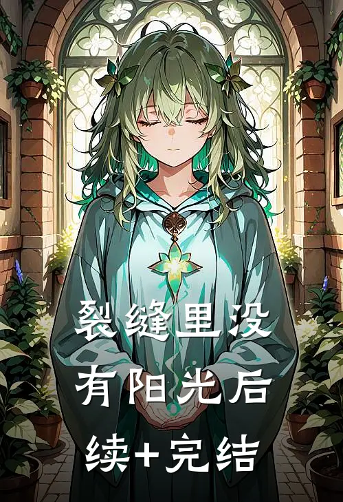 裂缝里没有阳光后续+完结