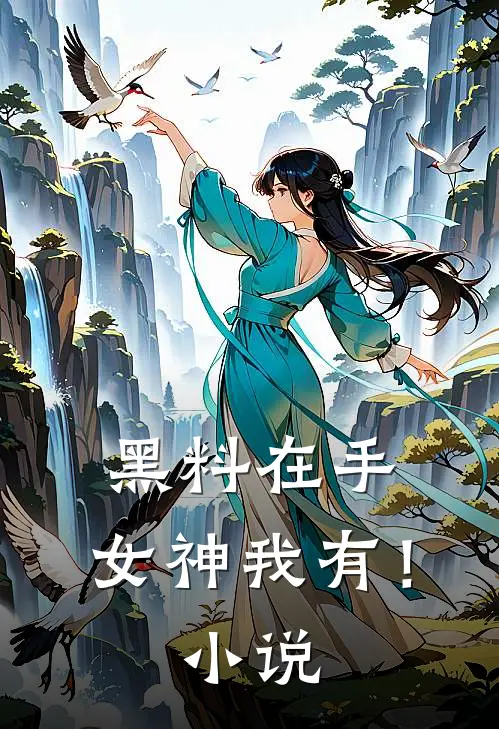 黑料在手，女神我有！小说