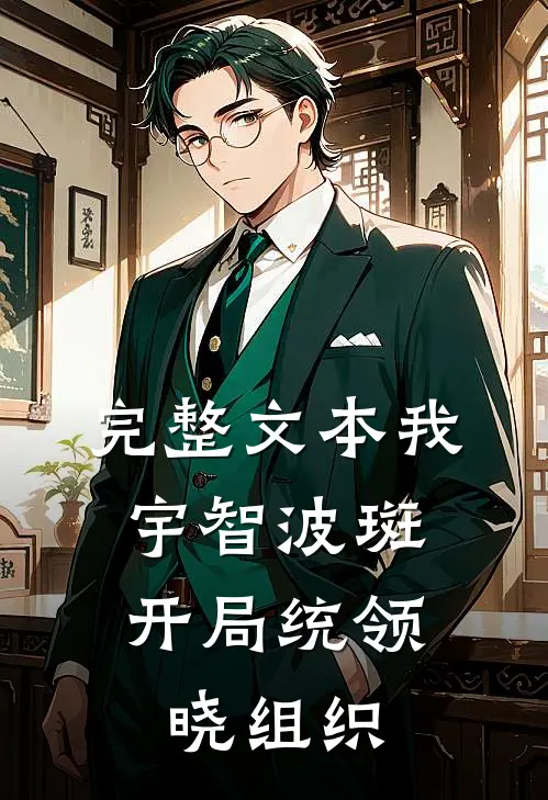完整文本我，宇智波斑，开局统领晓组织