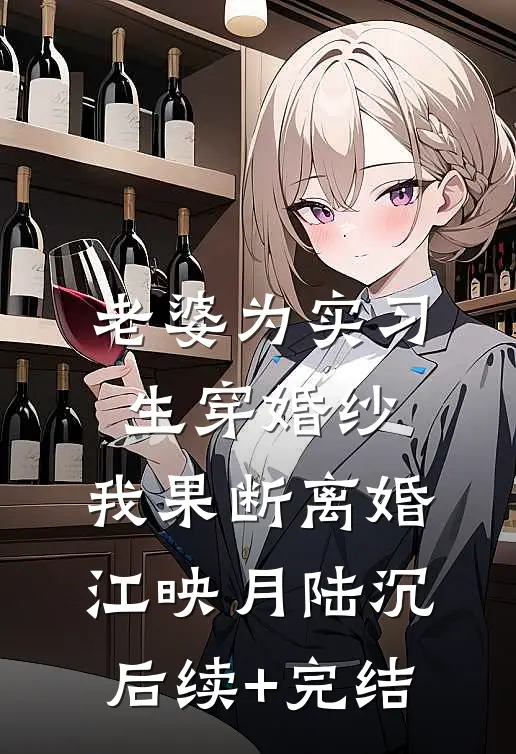 老婆为实习生穿婚纱，我果断离婚江映月陆沉后续+完结
