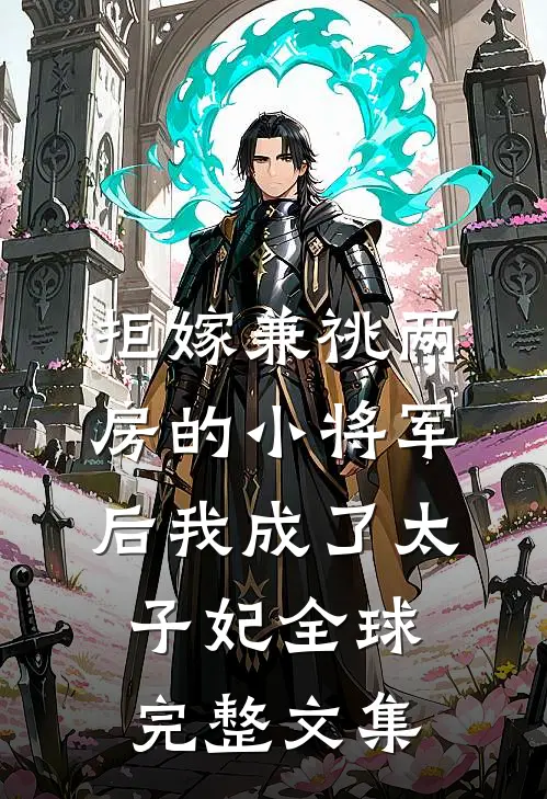 拒嫁兼祧两房的小将军后我成了太子妃全球完整文集