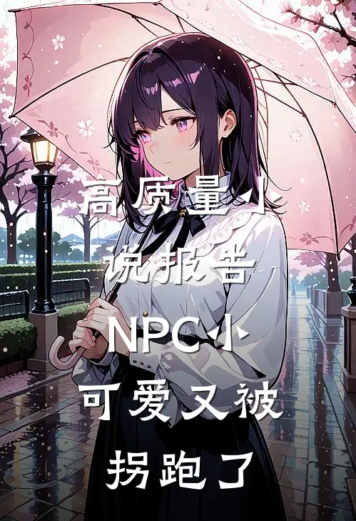 高质量小说报告，NPC小可爱又被拐跑了