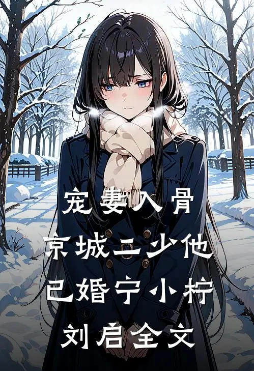 宠妻入骨：京城二少他已婚宁小柠刘启全文