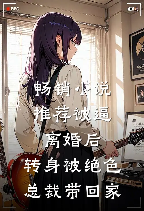 畅销小说推荐被逼离婚后，转身被绝色总裁带回家