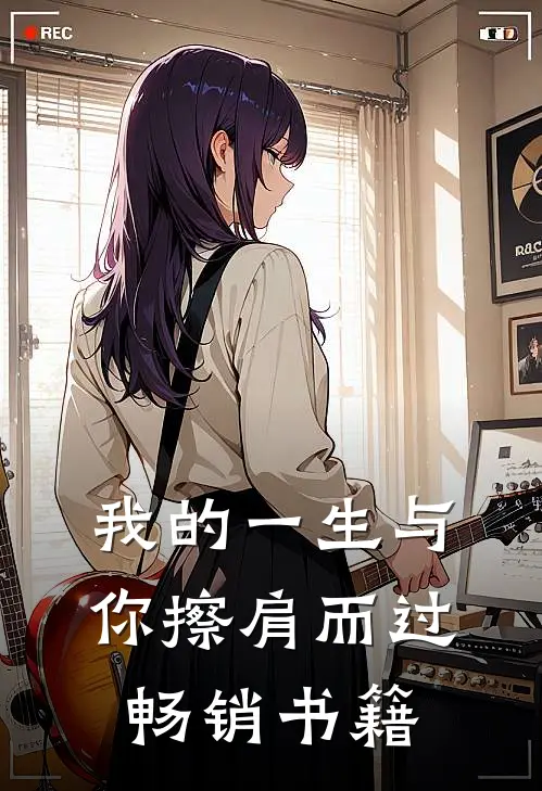 我的一生与你擦肩而过畅销书籍