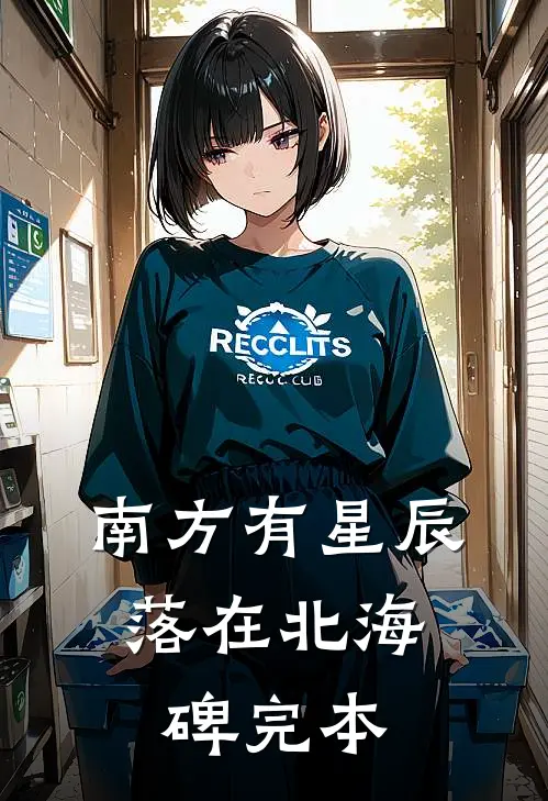 南方有星辰，落在北海碑完本