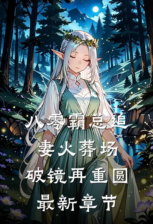 八零霸总追妻火葬场，破镜再重圆最新章节