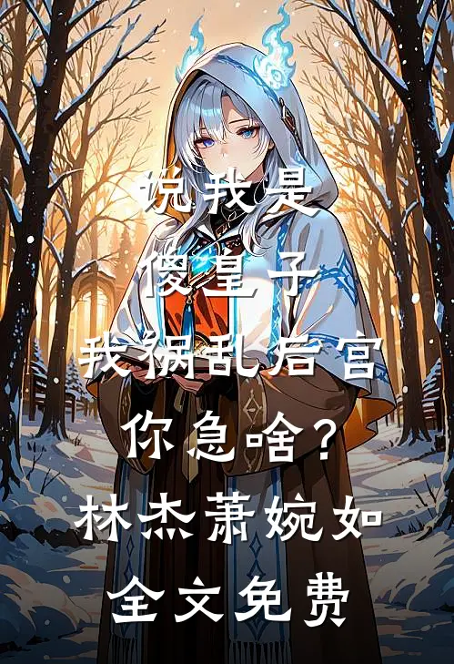 说我是傻皇子，我祸乱后宫你急啥？林杰萧婉如全文免费