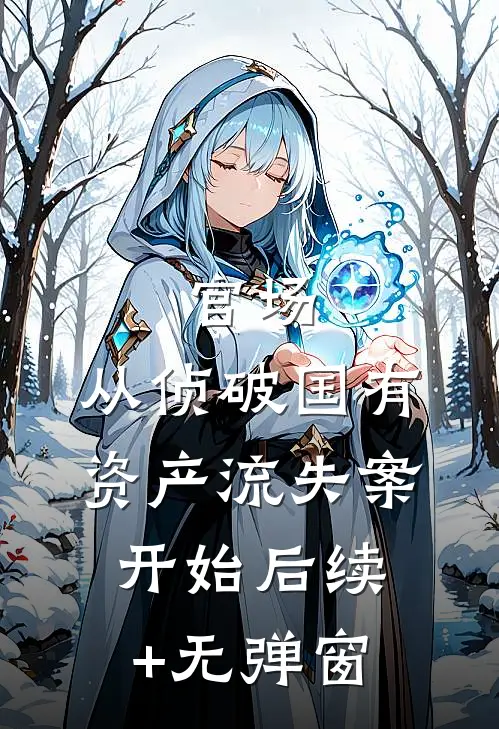 官场：从侦破国有资产流失案开始后续+无弹窗