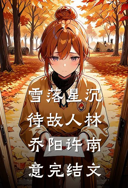 雪落星沉待故人林乔阳许南意完结文