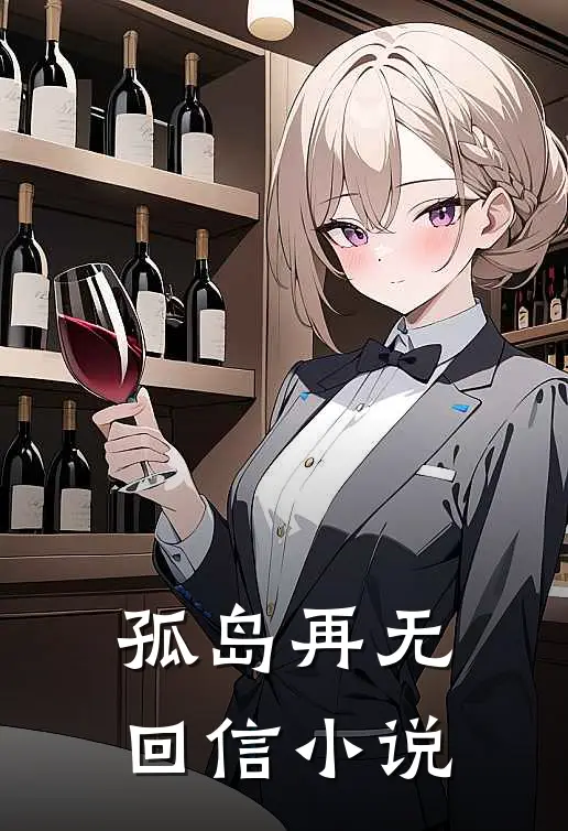 孤岛再无回信小说