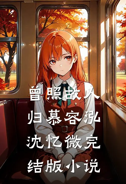 曾照故人归慕容泓沈忆微完结版小说