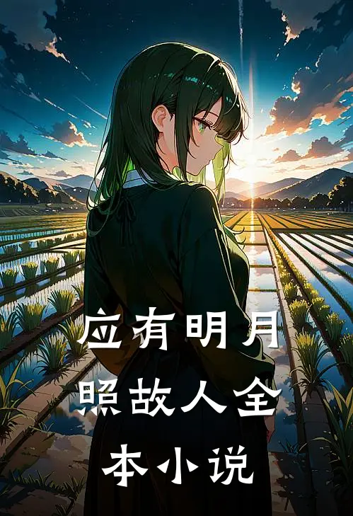 应有明月照故人全本小说