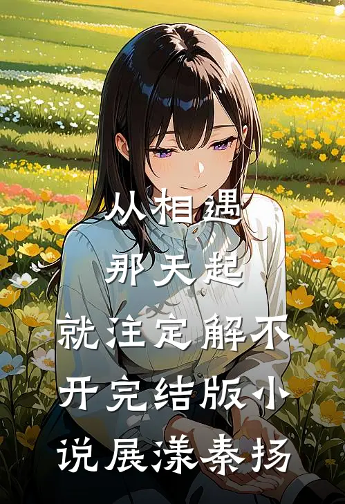 从相遇那天起，就注定解不开完结版小说展漾秦扬