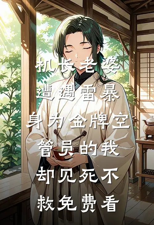 机长老婆遭遇雷暴，身为金牌空管员的我却见死不救免费看