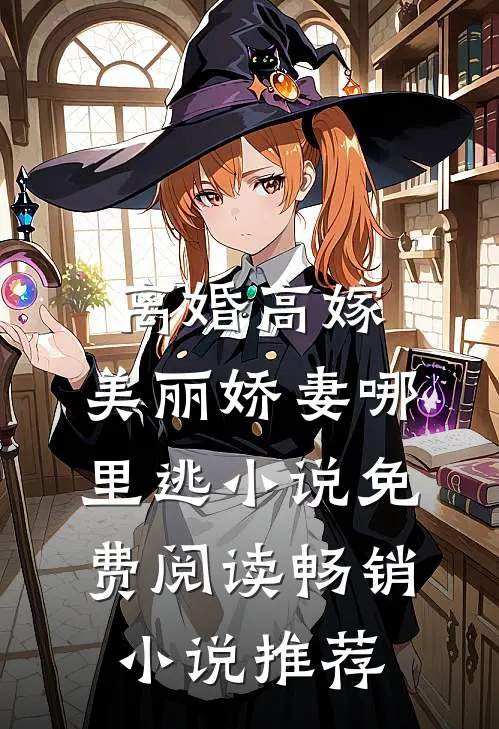 离婚高嫁:美丽娇妻哪里逃小说免费阅读畅销小说推荐