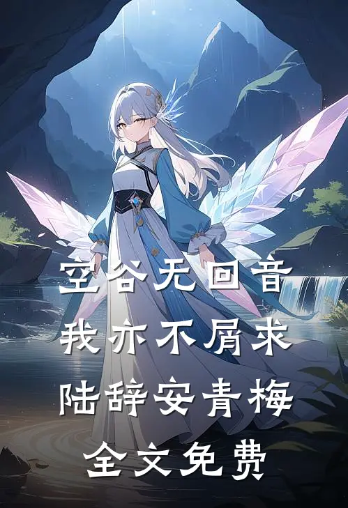 空谷无回音，我亦不屑求陆辞安青梅全文免费