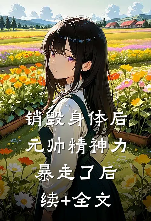 销毁身体后，元帅精神力暴走了后续+全文