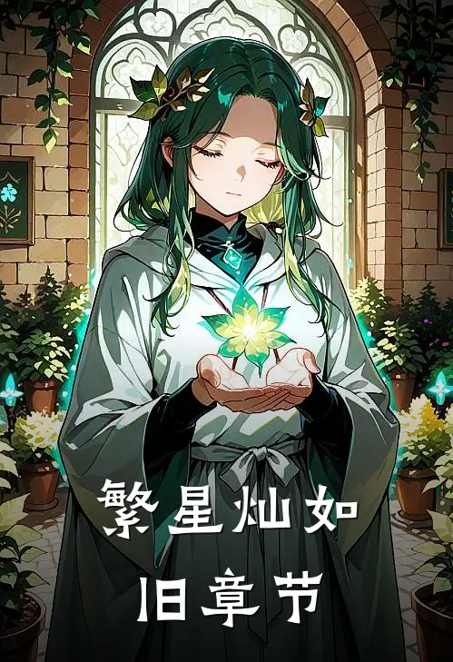 繁星灿如旧章节
