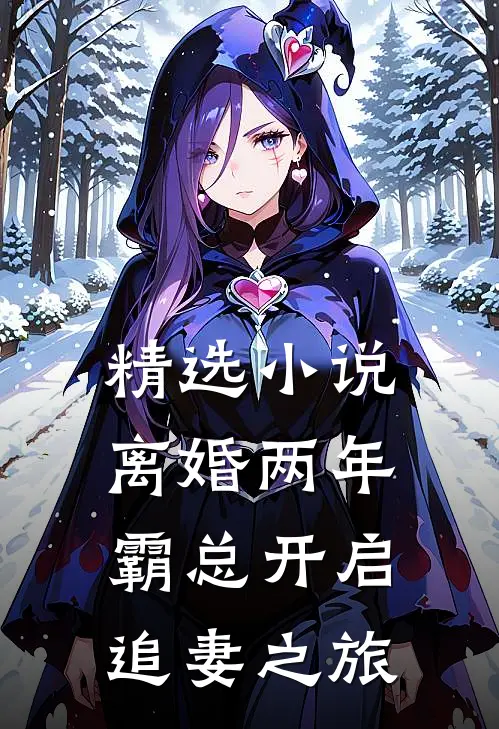 精选小说离婚两年，霸总开启追妻之旅