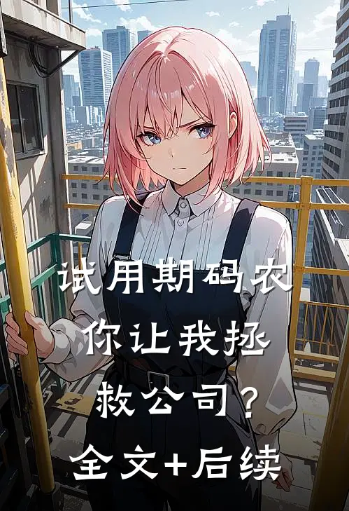 试用期码农，你让我拯救公司？全文+后续