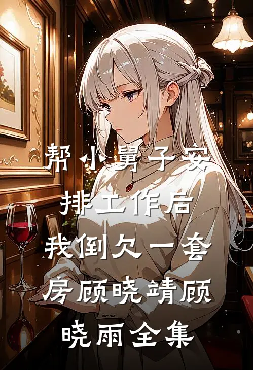 帮小舅子安排工作后，我倒欠一套房顾晓靖顾晓雨全集
