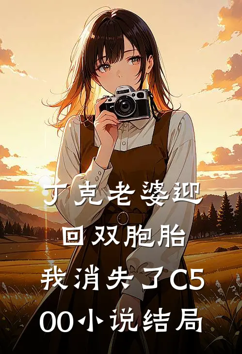 丁克老婆迎回双胞胎，我消失了C500小说结局