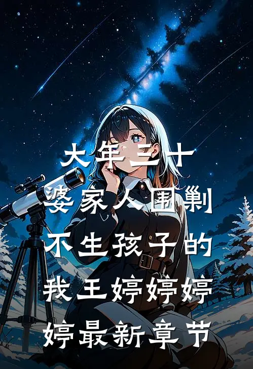 大年三十，婆家人围剿不生孩子的我王婷婷婷婷最新章节