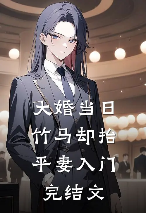 大婚当日，竹马却抬平妻入门完结文