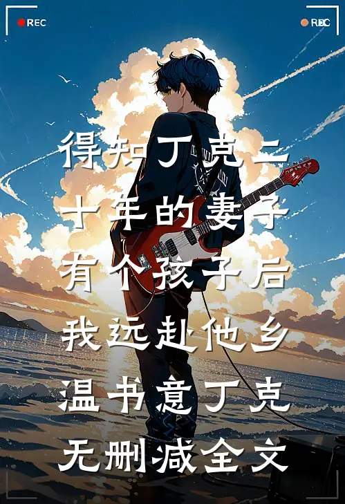 得知丁克二十年的妻子有个孩子后，我远赴他乡温书意丁克无删减全文