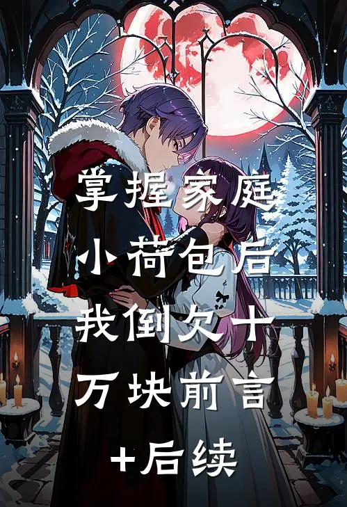 掌握家庭小荷包后，我倒欠十万块前言+后续