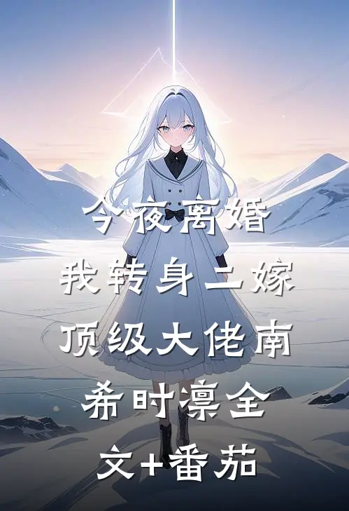 今夜离婚，我转身二嫁顶级大佬南希时凛全文+番茄