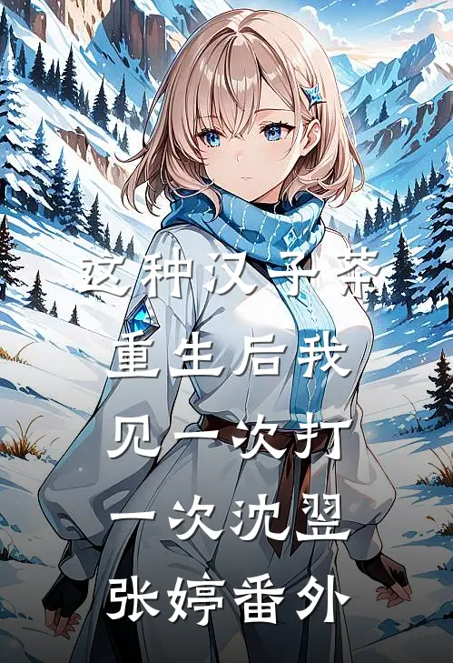 这种汉子茶，重生后我见一次打一次沈翌张婷番外