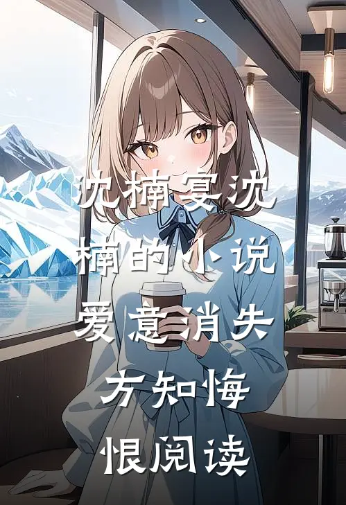 沈楠宴沈楠的小说爱意消失，方知悔恨阅读