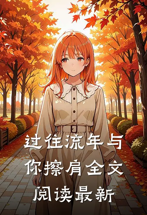 过往流年与你擦肩全文阅读最新