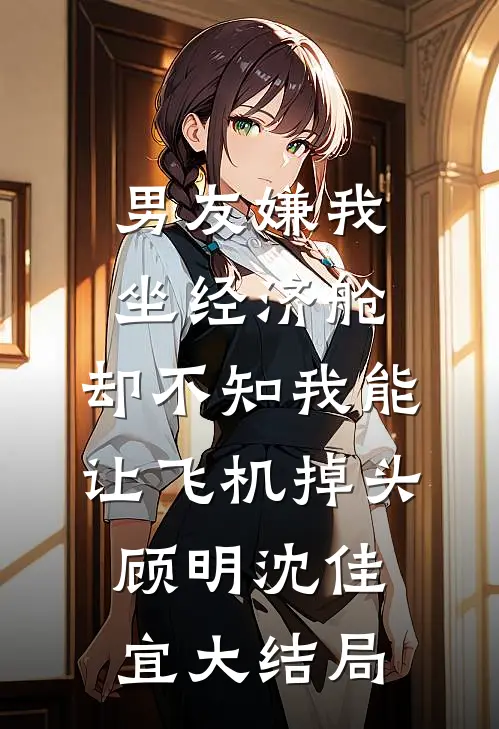 男友嫌我坐经济舱，却不知我能让飞机掉头顾明沈佳宜大结局
