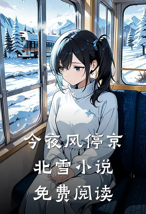 今夜风停京北雪小说免费阅读