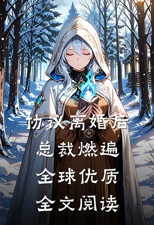 协议离婚后，总裁燃遍全球优质全文阅读