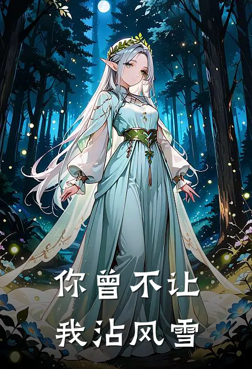 你曾不让我沾风雪