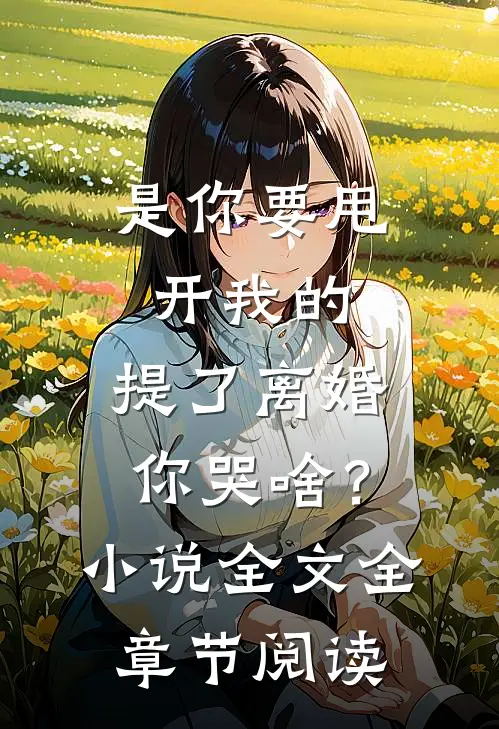 是你要甩开我的，提了离婚你哭啥？小说全文全章节阅读