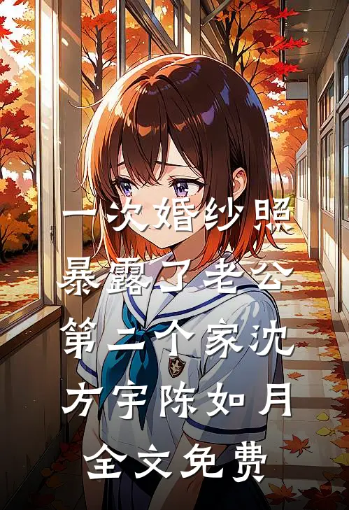 一次婚纱照，暴露了老公第二个家沈方宇陈如月全文免费