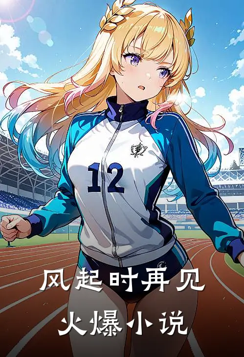 风起时再见火爆小说