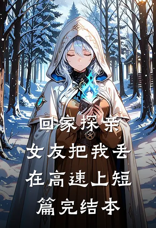 回家探亲，女友把我丢在高速上短篇完结本