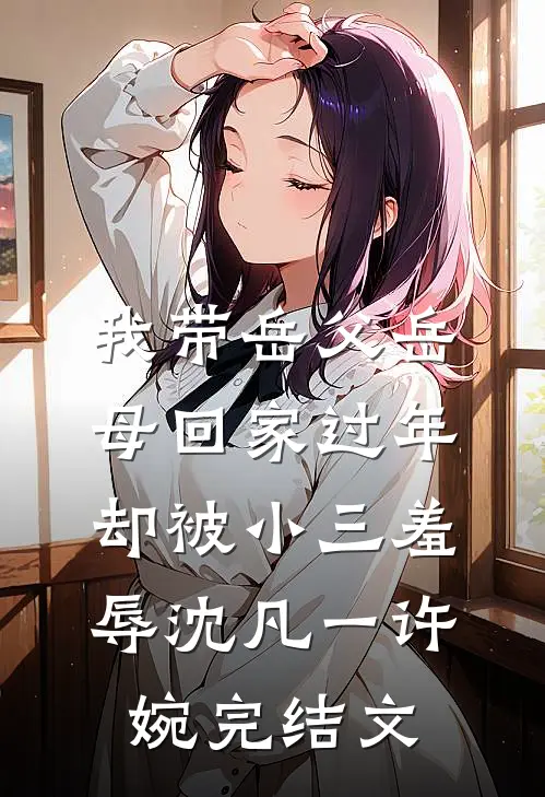我带岳父岳母回家过年，却被小三羞辱沈凡一许婉完结文