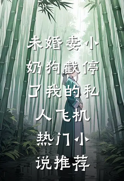 未婚妻小奶狗截停了我的私人飞机热门小说推荐